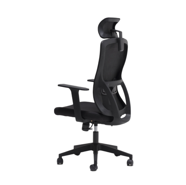 Ergonomska kancelarijska stolica Grex Štof/Crna
